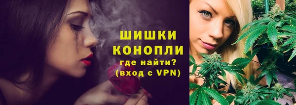дмт Аркадак