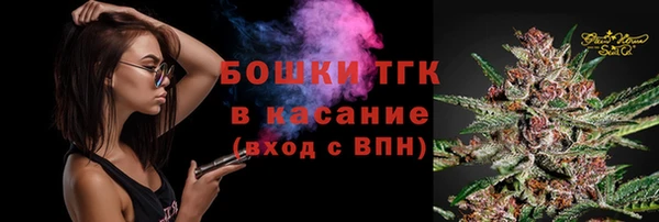 дмт Аркадак