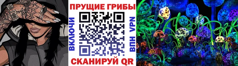 продажа наркотиков Тейково Галлюциногенные грибы Magic Shrooms